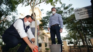 Mérida avanza hacia la sostenibilidad del medio ambiente para mitigar el cambio climático