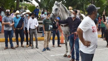 Piden reactivar eventos taurinos