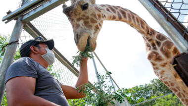 Guardanimales una vida profesando amor a los residentes de los zoológicos