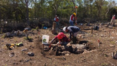 Descubren más de 16 mil monumentos arqueológicos en cuatro tramos del Tren Maya