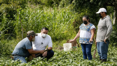Familia de Santa María Chi se convirtió en proveedora de alimentos para restaurantes