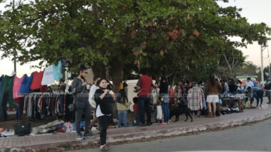 Inicia febrero con 1,173 contagios y 11 decesos por covid