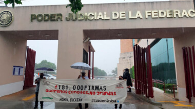 Con 181 mil firmas buscan frenar contaminación de granjas en Yucatán