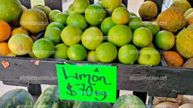 El kilo de limón se vende en $70 pesos en Mérida