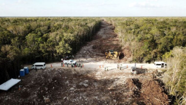 Frenan, otra vez, obras del tramo 5 del Tren Maya por daños ambientales