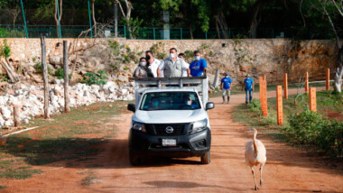 Supervisan rehabilitación del Parque Zoológico Bicentenario “Animaya”