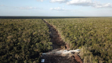 ‘No necesitamos el Tren Maya, necesitamos la selva’: actores y músicos