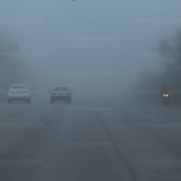 Mérida amane cubierta de neblina