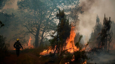 Francia, España y Portugal luchan contra incendios y se preparan para temperaturas récord