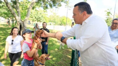 “Esperando por ti” la app de adopción de perros y gatos en Mérida