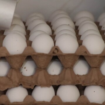 Imparable el aumento al precio del huevo ¡uno más!