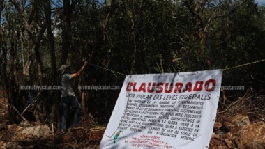 A los políticos les importa el negocio, no el medioambiente