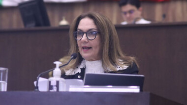 Muchas preguntas, pocas respuestas en la Glosa del informe de Vila