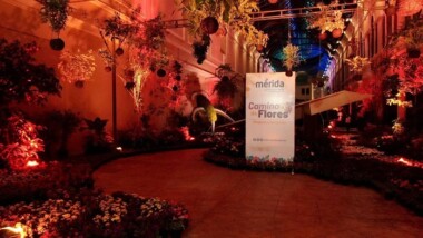 Un Camino de las Flores recibe a visitantes en el Pasaje de la Revolución