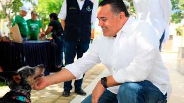 Llevan jornadas de esterilización a comisarías de Mérida