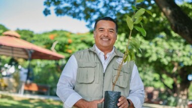 Sembrarán 30 mil árboles en Mérida