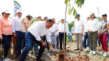 Inicia la Cruzada Forestal en Mérida, plantarán 30 mil árboles