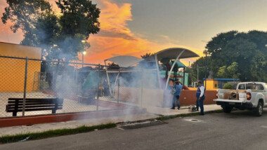 Fumigarán escuelas en comisarías de Mérida