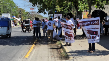 En Yucatán, arrecia la campaña contra chapulines