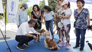 Convierten terreno baldío en parque público