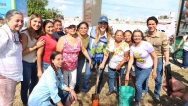 Sembrarán 250 mil árboles para mitigar el calor de Mérida