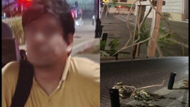 Detenido por dañar árboles en el Centro de Mérida