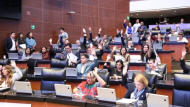Senadores de la 4T avalan que el gobierno asuma las funciones del INAI