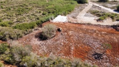 Ayuntamiento presenta denuncia por deforestación de Cuxtal