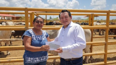 Apoyos por $8.9 millones a ganaderos yucatecos