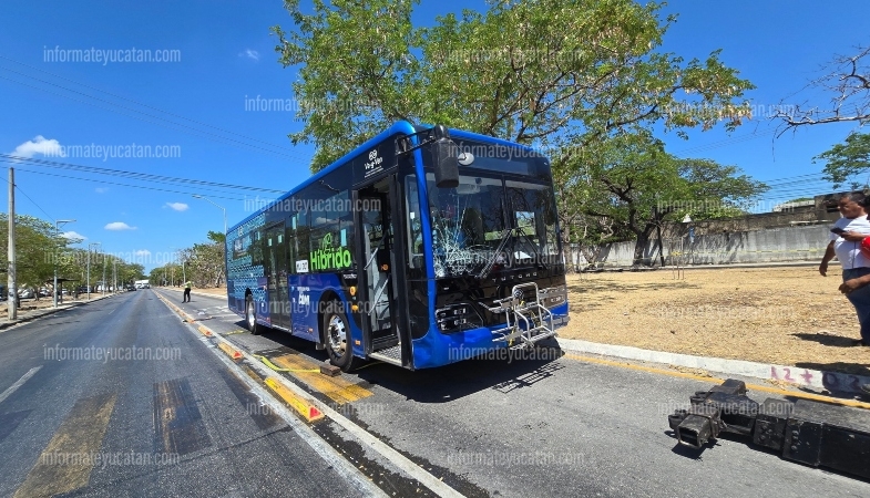 VA Y VEN-ACCIDENTE BIMBO