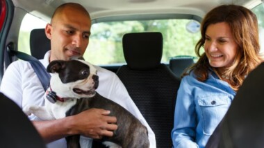 Uber para mascotas
