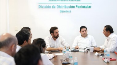 Avisarán a empresarios de “apagones”  programados