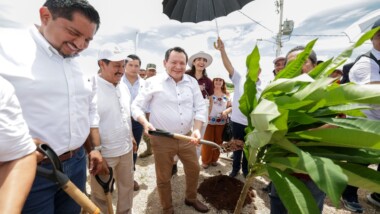 Siembran más de 5 mil árboles en Valladolid
