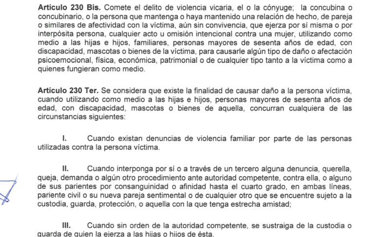 VIOLENCIA VICARIA