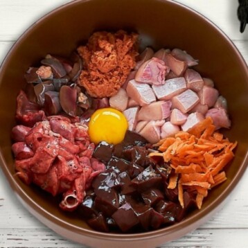 Advierte sobre riesgos de las dietas crudas en perros y gatos