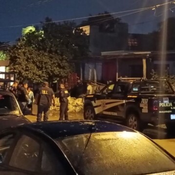 Ataque de abejas deja un muerto y dos heridos en la colonia Emiliano Zapata Oriente