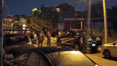 Mérida: Ataque de abejas deja un muerto y dos heridos