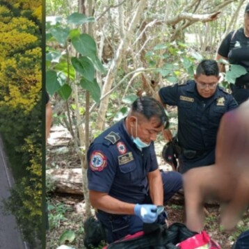 Encuentran con vida a Don Polvillo