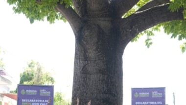 Patrimonio Verde de Mérida