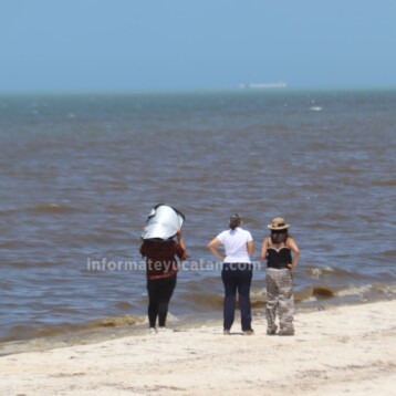 Fin de la contingencia por marea roja en Yucatán