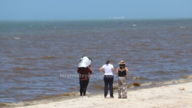Yucatán decreta fin de la contingencia por marea roja