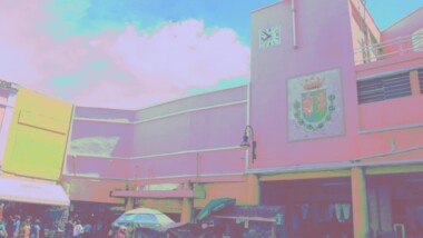 A la cárcel por abuso sexual en el mercado Lucas de Gálvez