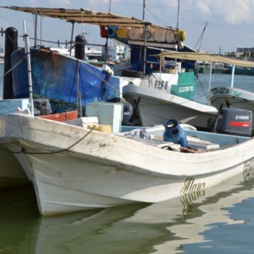 Vinculan a proceso a tres hombres por posesión de pepino de mar en veda
