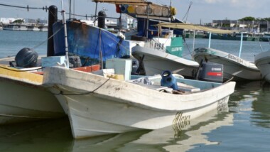 Vinculan a proceso a pescadores furtivos de pepino de mar