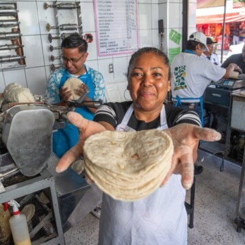 Buscan estabilizar el precio del maíz y la tortilla en Yucatán