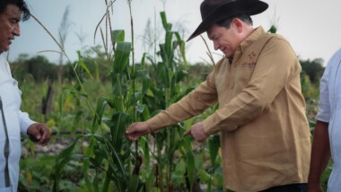 Huacho supervisa caminos sacacosechas en Kinchil