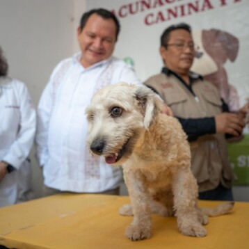 Arranca la Semana Nacional de Vacunación Antirrábica