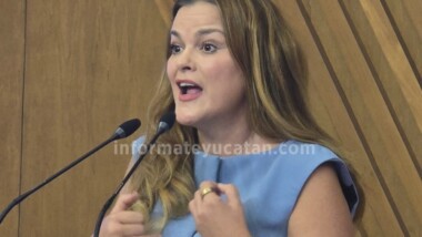 Esterilizarán perritos callejeros