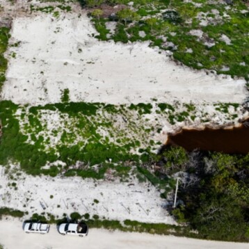 Frena Profepa daño ecológico en la Reserva Ría Celestún