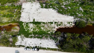 Clausura Profepa terrenos en la Reserva Ría Celestún